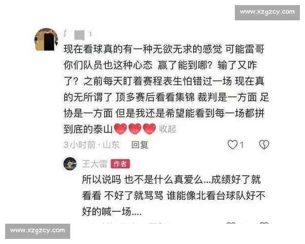 王大雷妻子罕见发声:这次我站球迷,不想再理你! 王大雷妻子罕见发声:这次我站球迷,不想再理你!